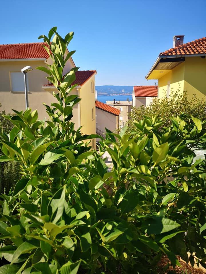 Apartmani Livajic Дуче Экстерьер фото